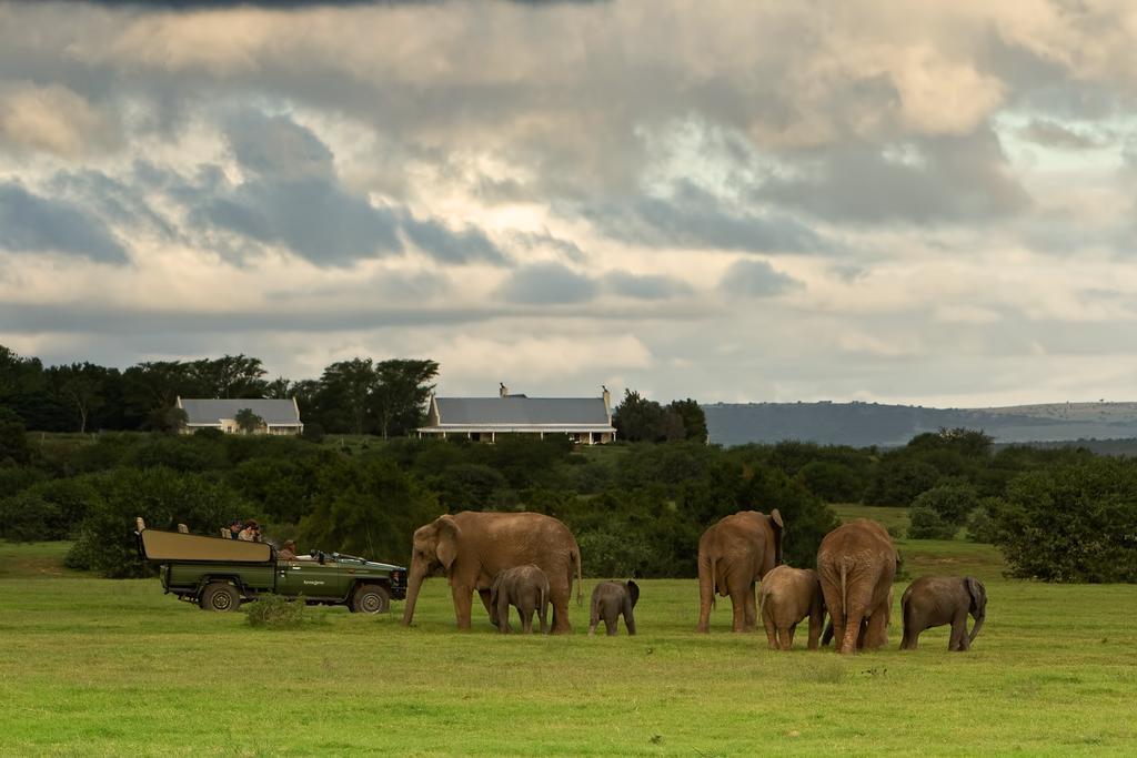 Riverbend Lodge Addo Extérieur photo